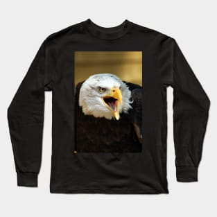 American Eagle Long Sleeve T-Shirt